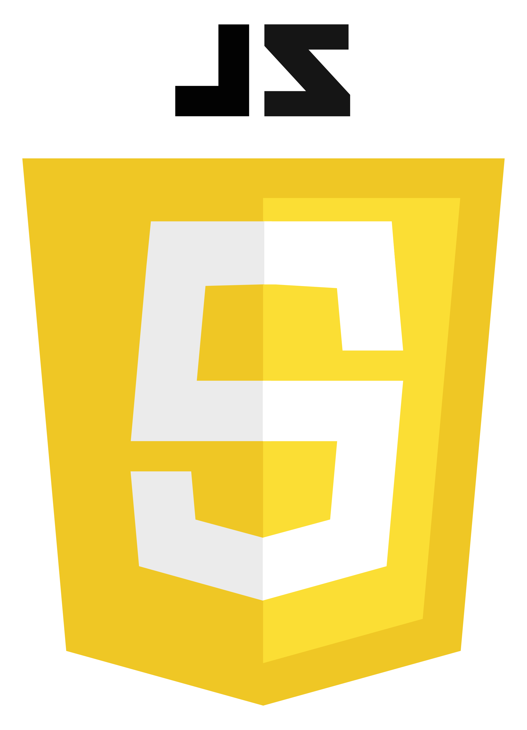 JavaScript JavaScript